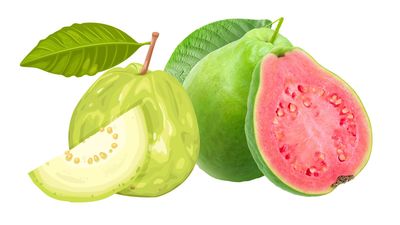 Guava