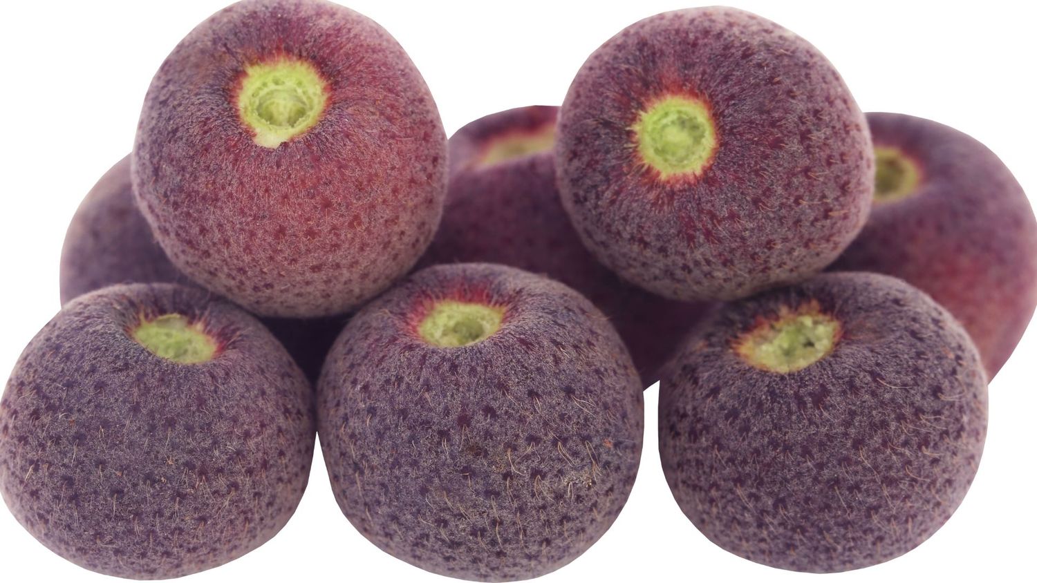 Phalsa