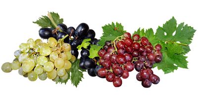 Grapes
