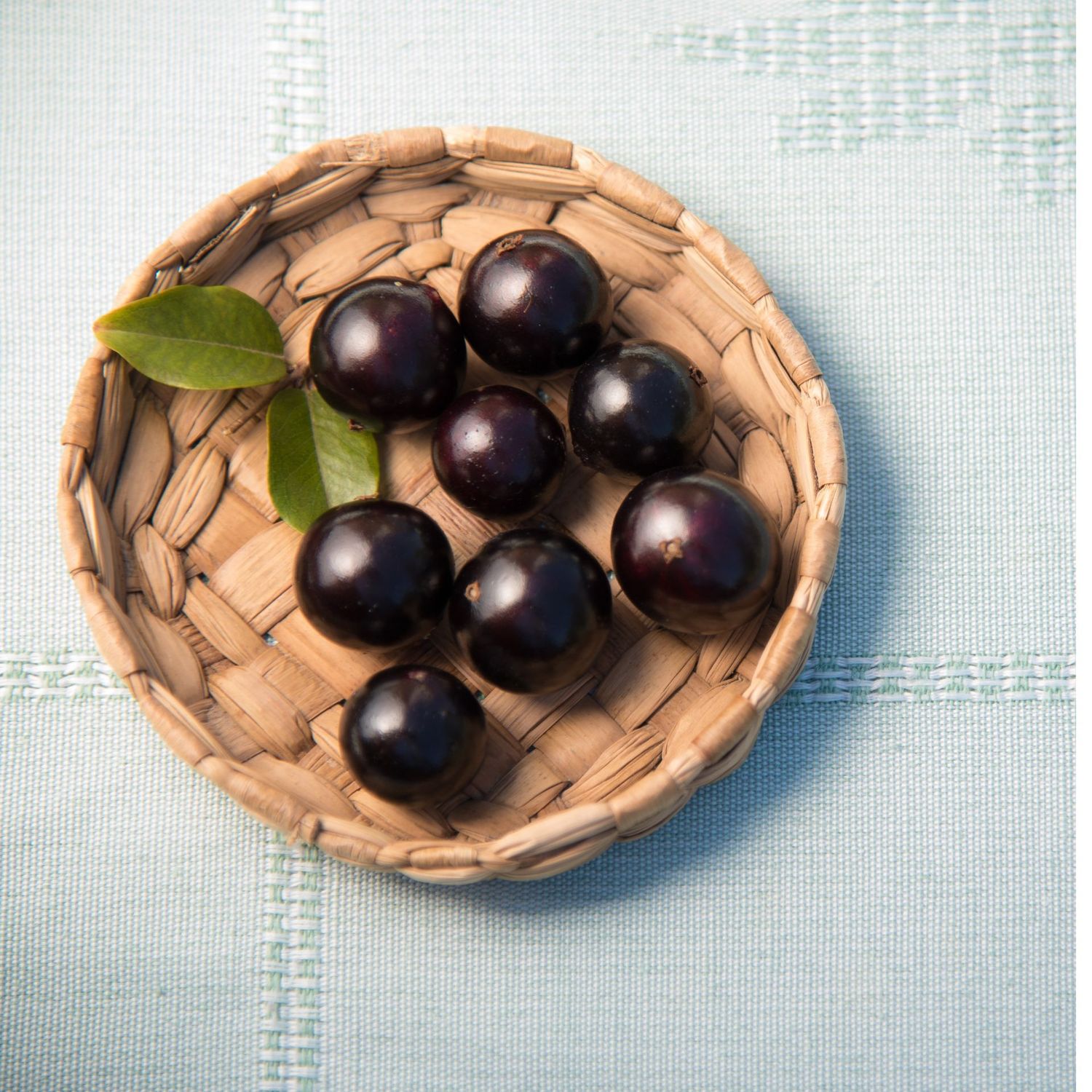 Grimal Jaboticaba