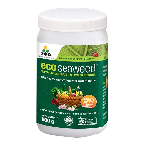 Eco seaweed powder. Concentrate 600 grams