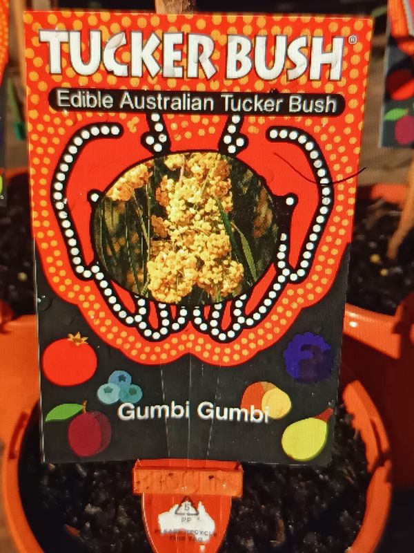 Gumby Gumby
