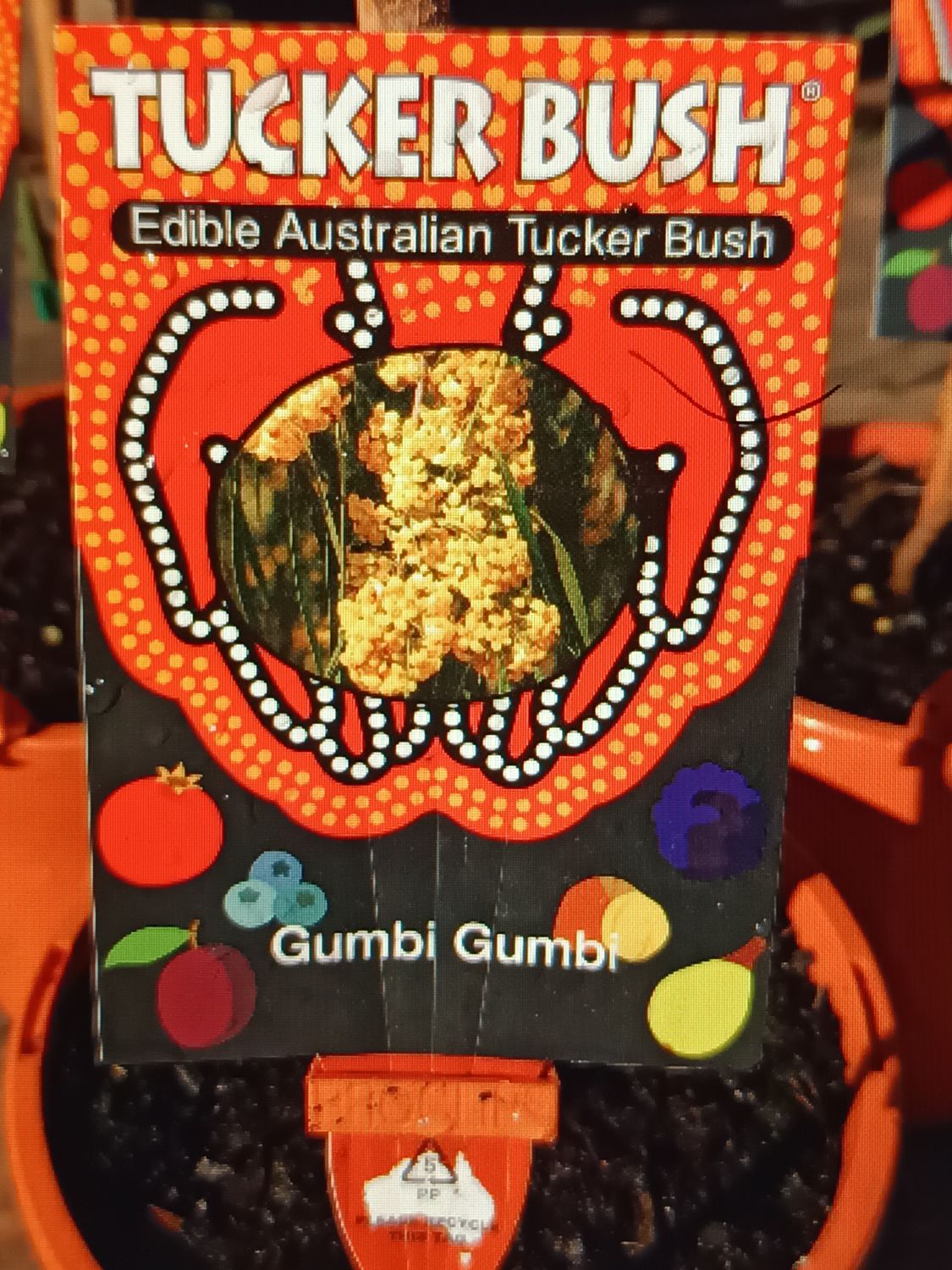 Gumby Gumby