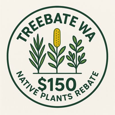 TreeBate