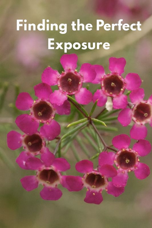 Intro to Photography Manual Settings – Finding the Perfect Exposure