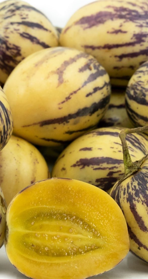 Pepino, Cameron Apple