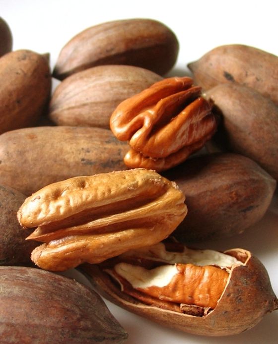 Pecan