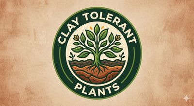 Clay Tolerant