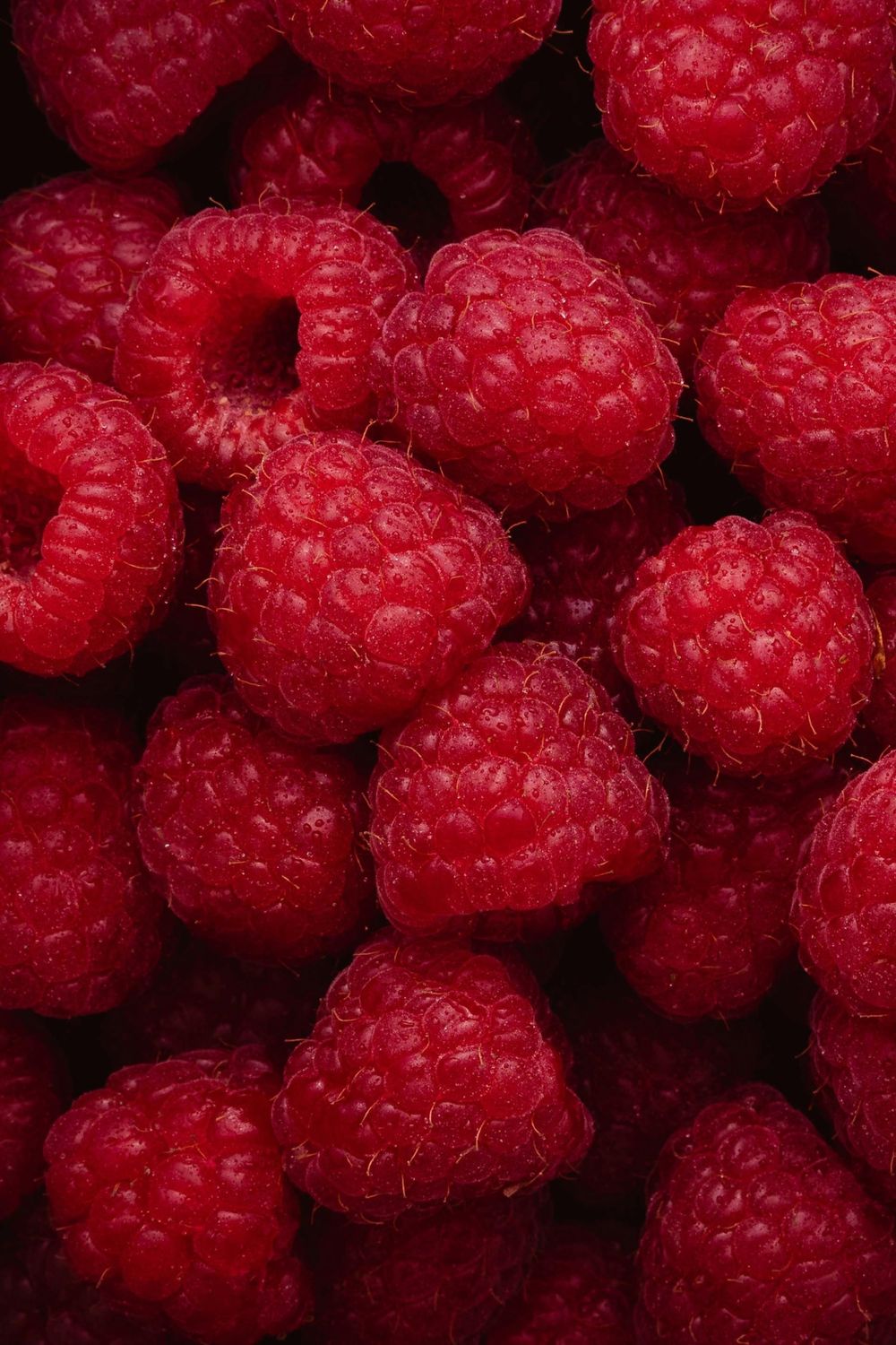 Raspberry, Chilcotin Mature Cane