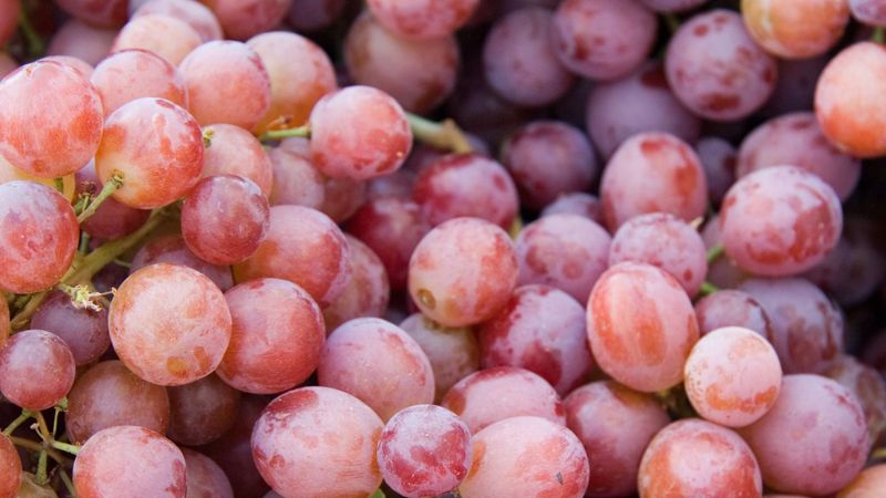 Flame Seedless Grape