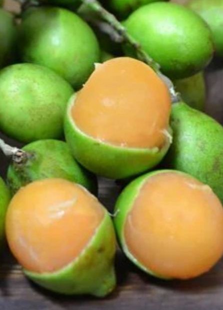 Spanish Lime, Mamoncillo