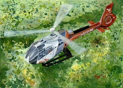 &quot;On The Wing&quot; Original Watercolor