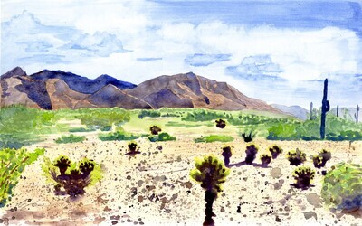 &quot;Sonoran&quot; Original Watercolor