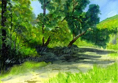 &quot;Robles Sombreados&quot; Original Watercolor