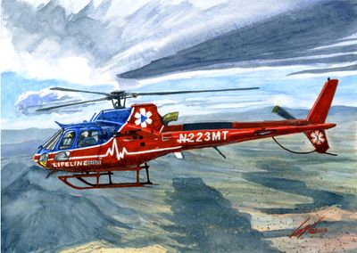 &quot;The LifeLine to St David&quot; Print