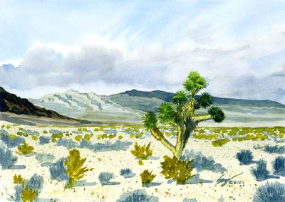 &quot;Mojave&quot; Print