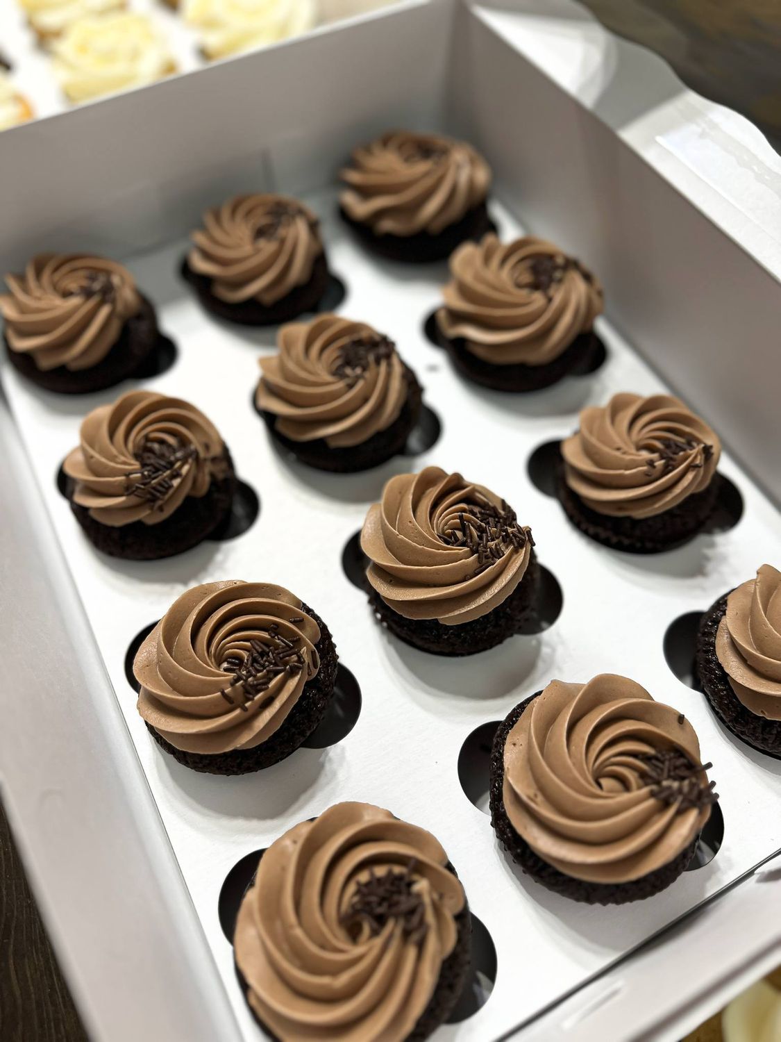 Chocolate Cupcakes/Cake Recipe