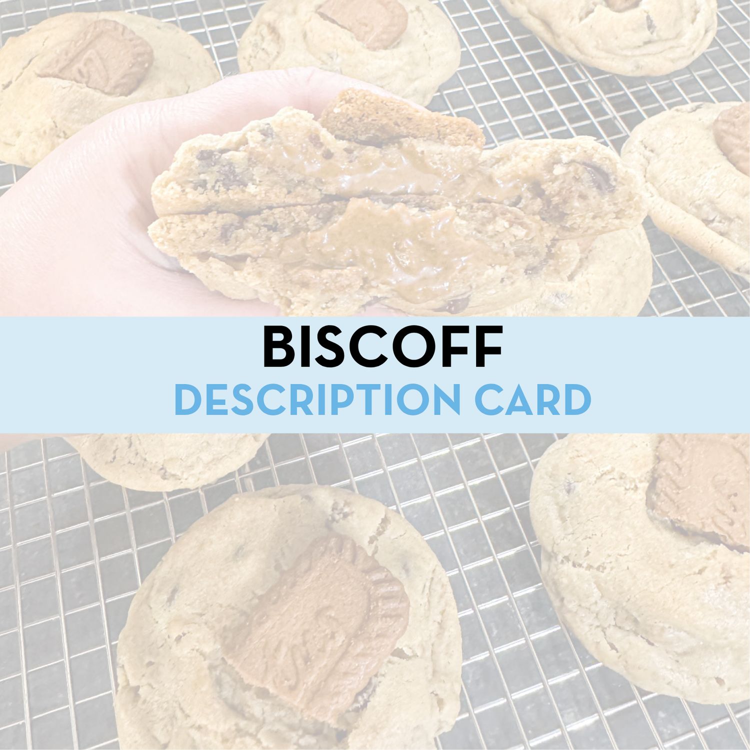 Biscoff Cookie Display/Description Card