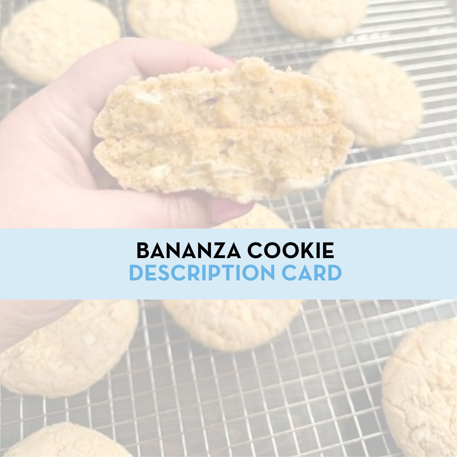 Biscoff Cookie Display/Description Card