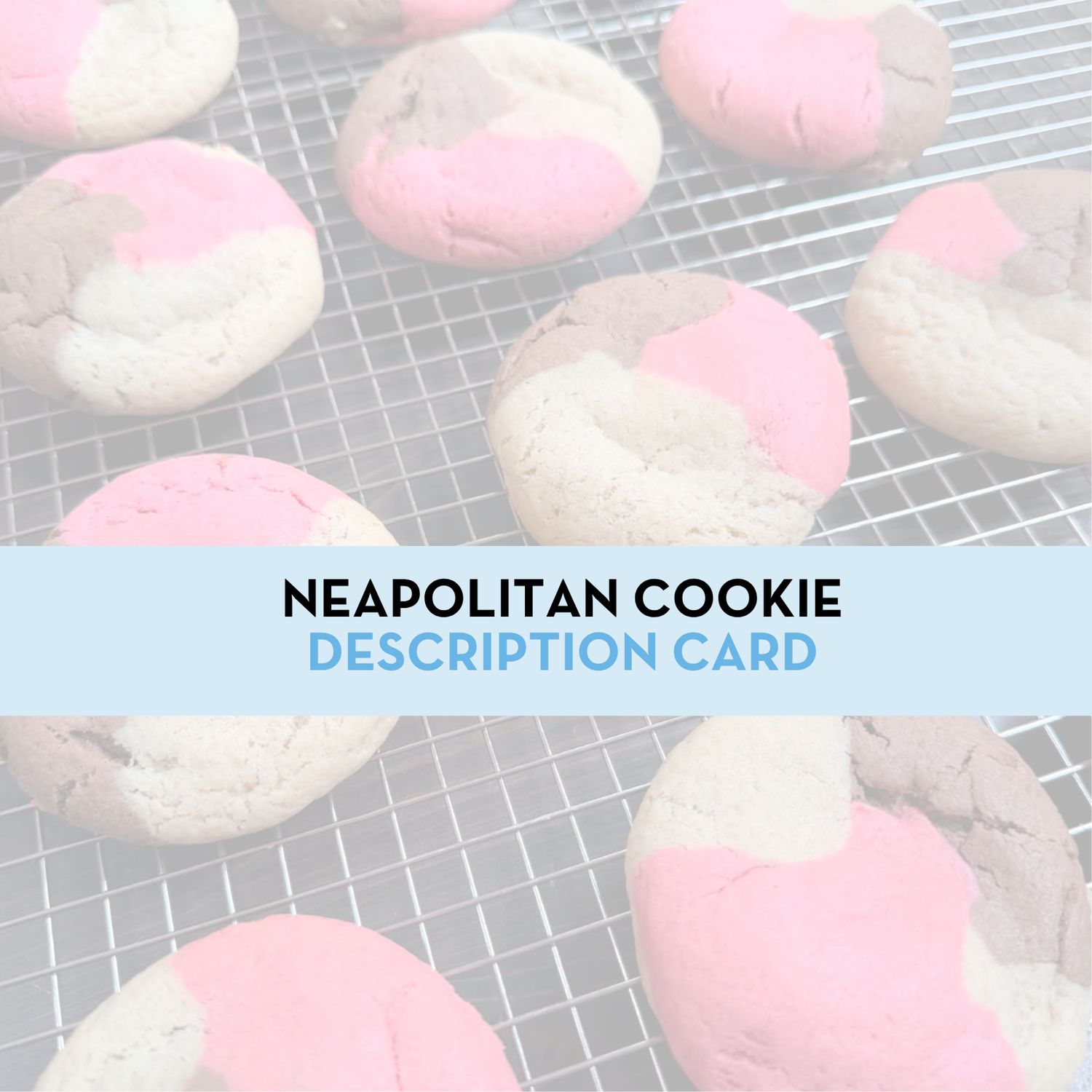 Neapolitan Cookie Display/Description Card
