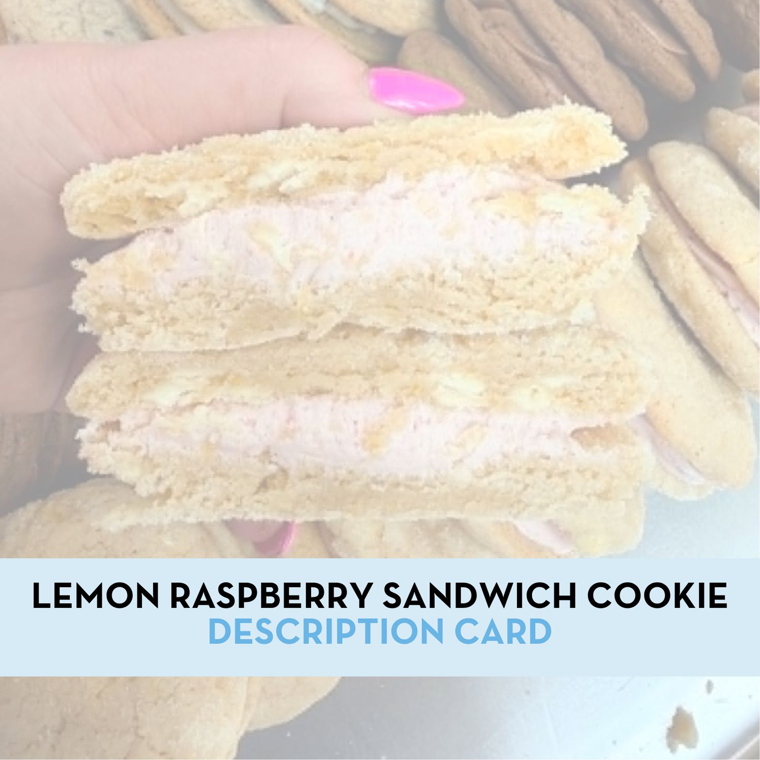 Lemon Raspberry Sandwich Cookie Display/Description Card