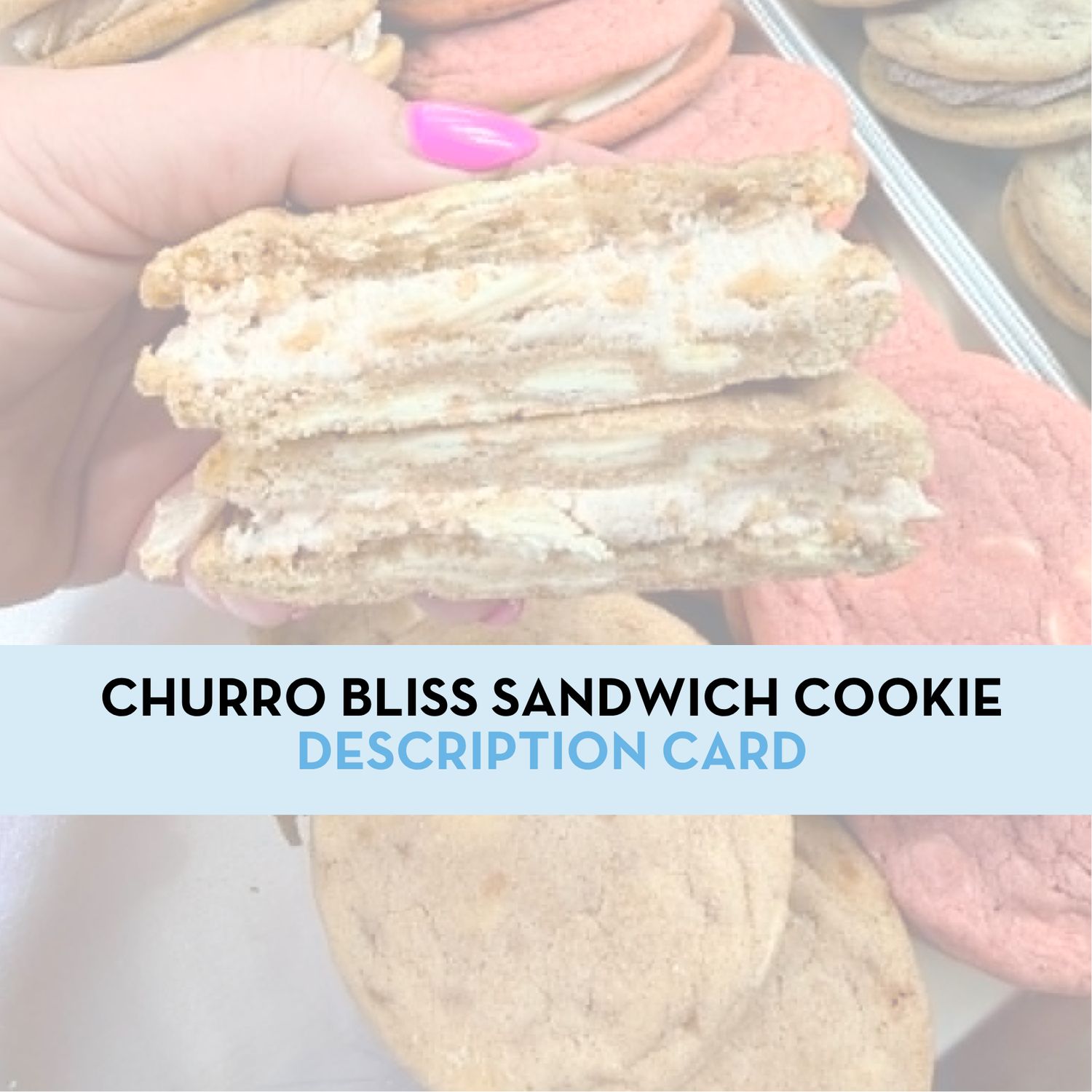 Churro Bliss Sandwich Cookie Display/Description Card