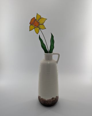 Daffodil Flower Stem