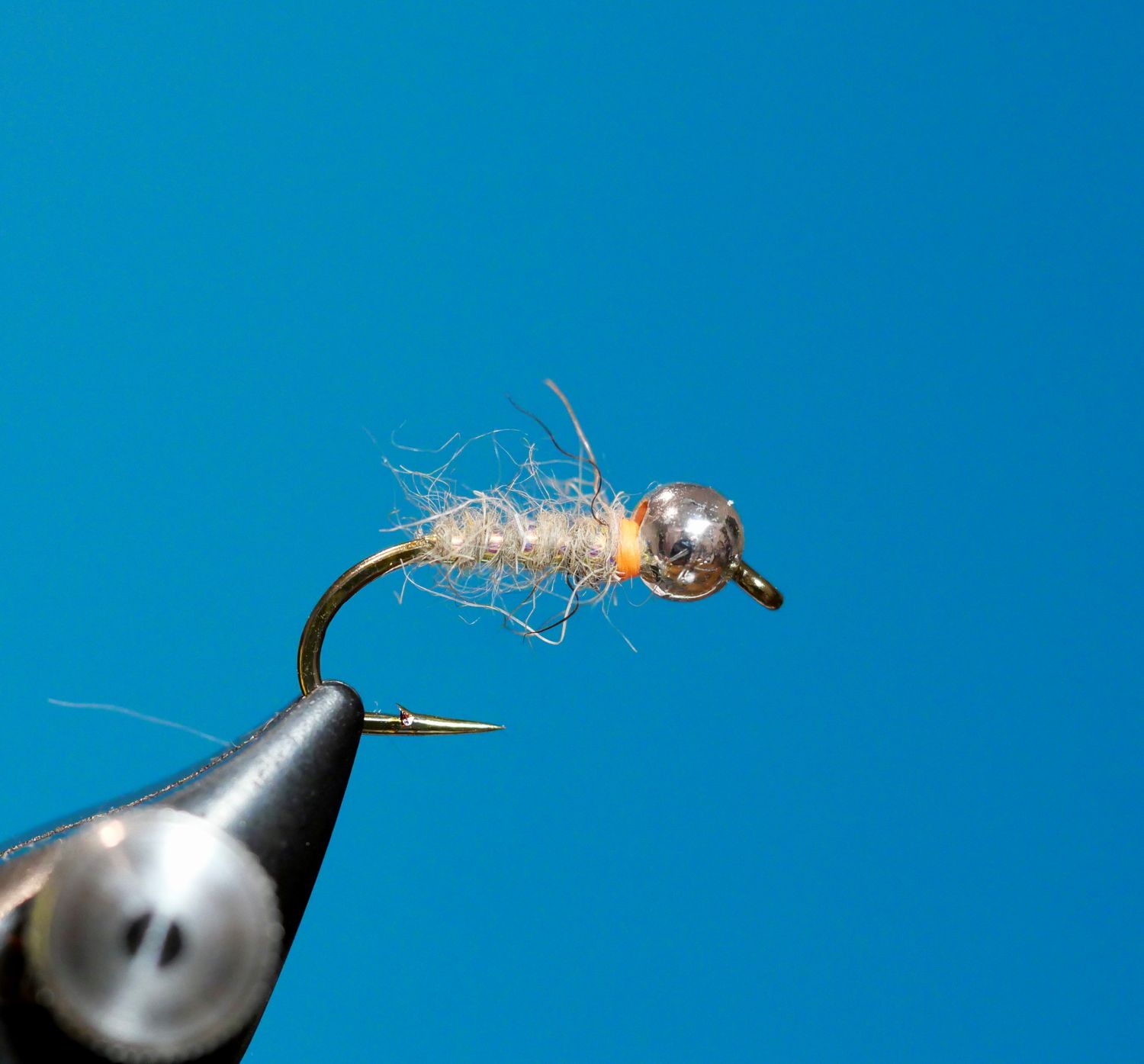 Sexy Walts Worm