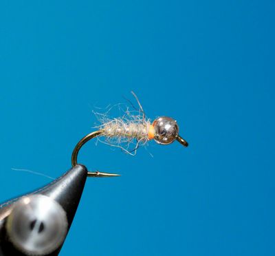 Sexy Walts Worm