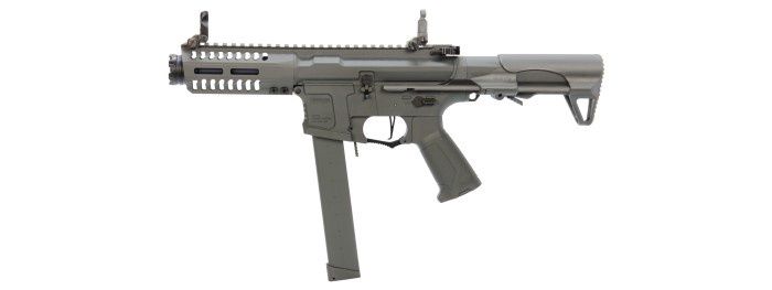 G&amp;G - ARP 9 AEG Rifle (Battleship Grey)
