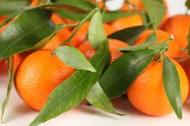 Mandarina Nacional