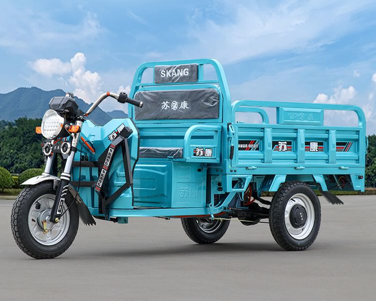 Cyan Blue 3-Doors Electric Pickup Carrier Cargo Tricycle Trike for Delivery Transport Vehicle