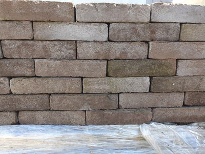 (42) SVK   Terranova (Bruin) 210X100X50