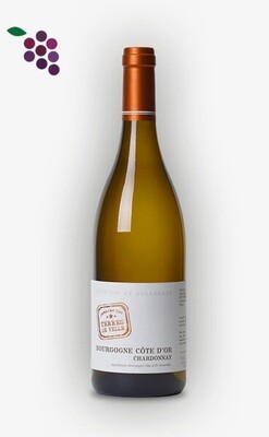 Dom. Terres de Velle Cote d'Or Chardonnay 2018 75cl Dom. Terres de Velle Cote d'Or Chardonnay 2018 75cl