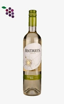 Antares Sauvignon Blanc 75cl
