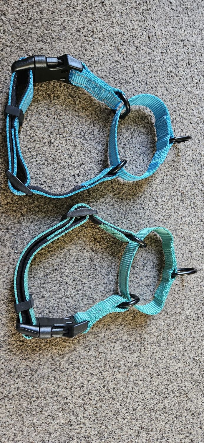 Joytale Reflective Collar 40.5 - 51cm Medium