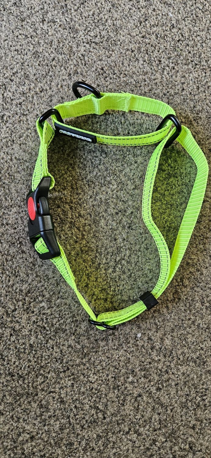Dog Collar Reflective Large 48-60cm
