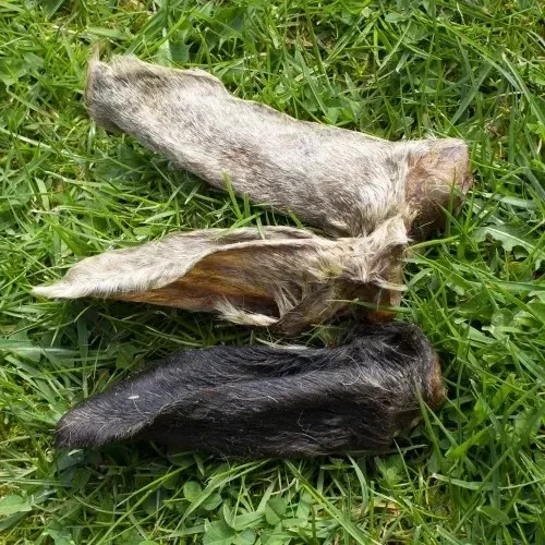 P&amp;N Natural Goat Ear With Hair Each