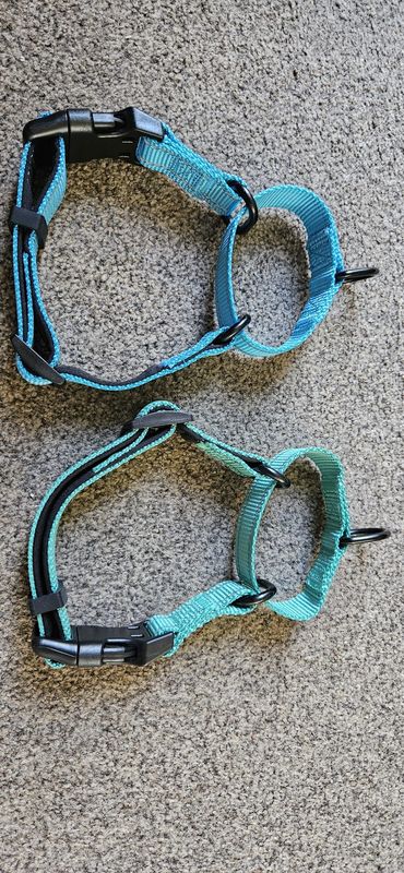 Joytale Reflective Collar 40.5 - 51cm Medium