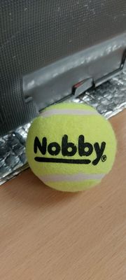 Nobby Tennis Ball Each