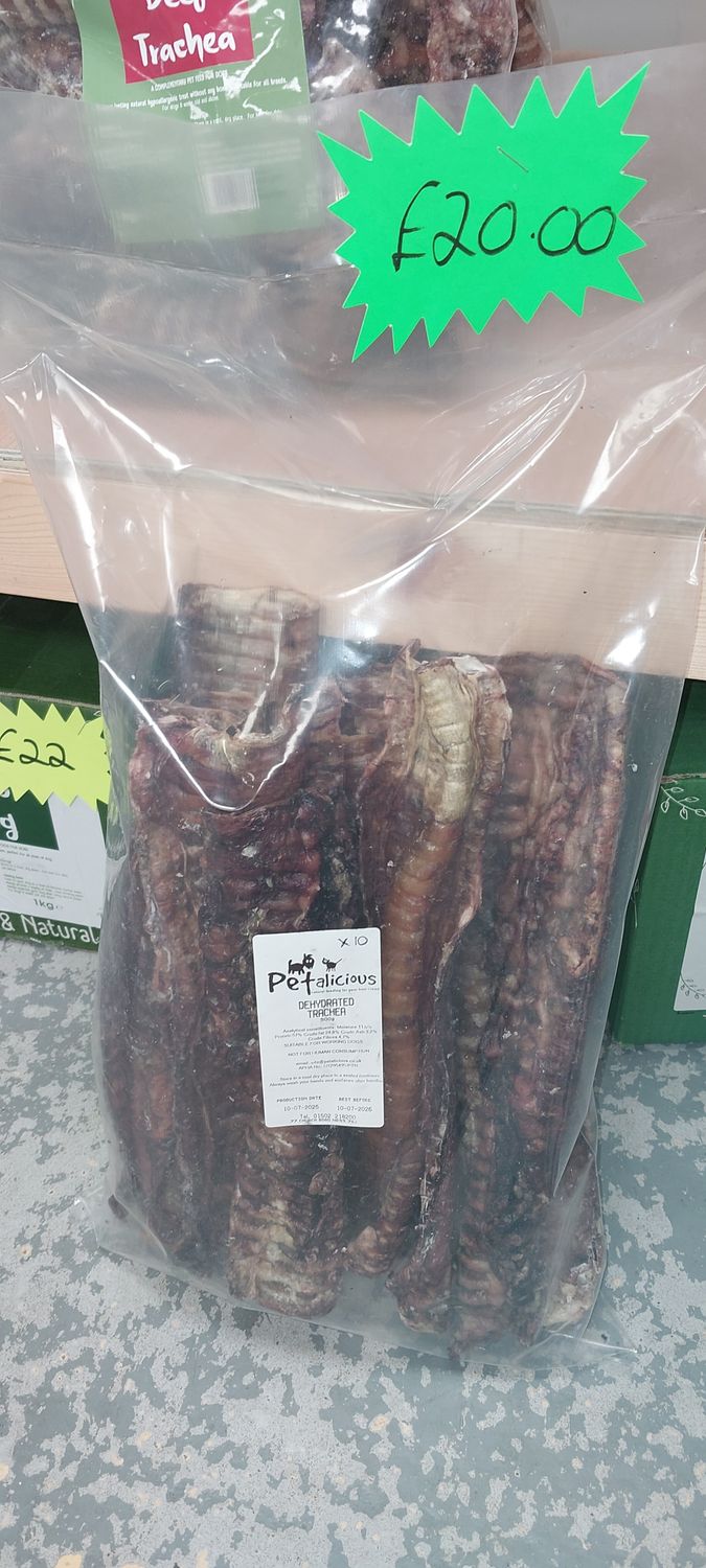 Large Trachea Singles