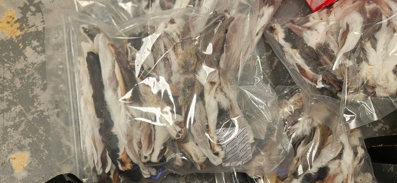 Dehydrated rabbit ears 500g