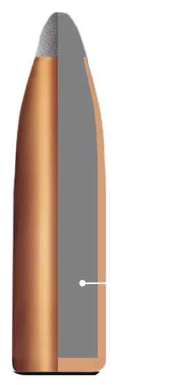 .22 Hornet RWS 46 grain