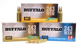 243 Buffalo River Ammo nz