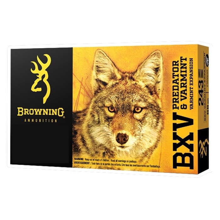 243 Browning BXV 65gr VE (20)