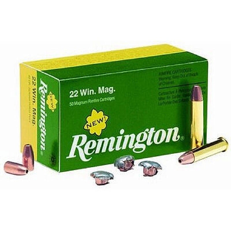 Remmington .22WMR