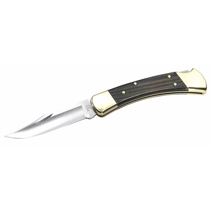 Buck 110 Folding Hunter