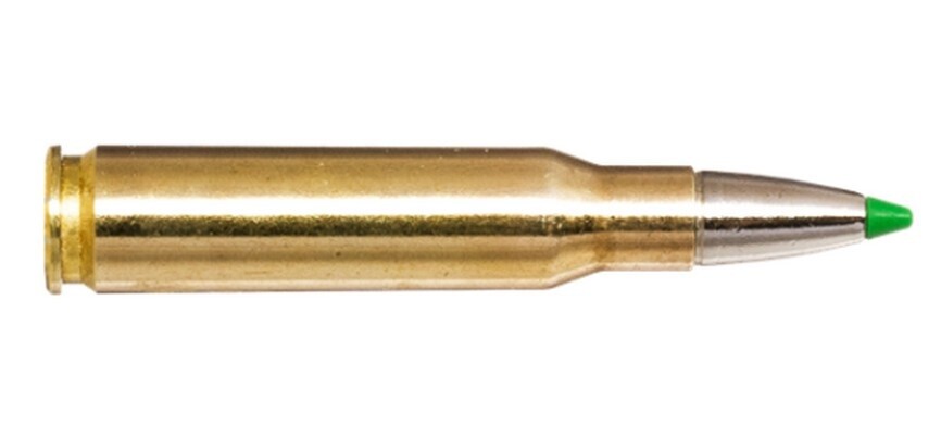 Norma Ecostrike 308 WIN 165gr CTN (20rds)