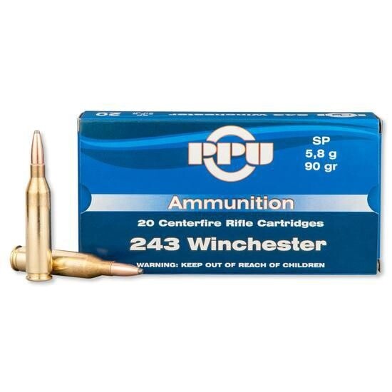 243 PPU Winchester 90 GR SP