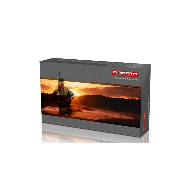 223 Remington Norma 40 grain V-Max (20)